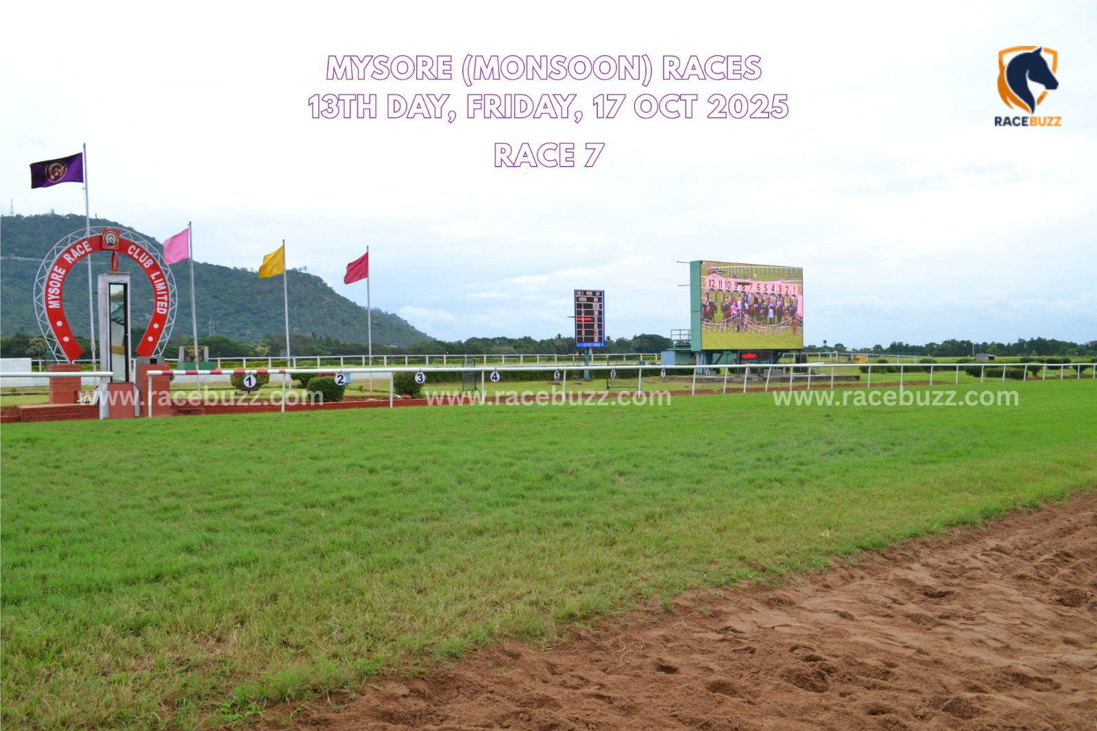 D FRONX winning BVL Round Table India Cup Mysore Races 2025