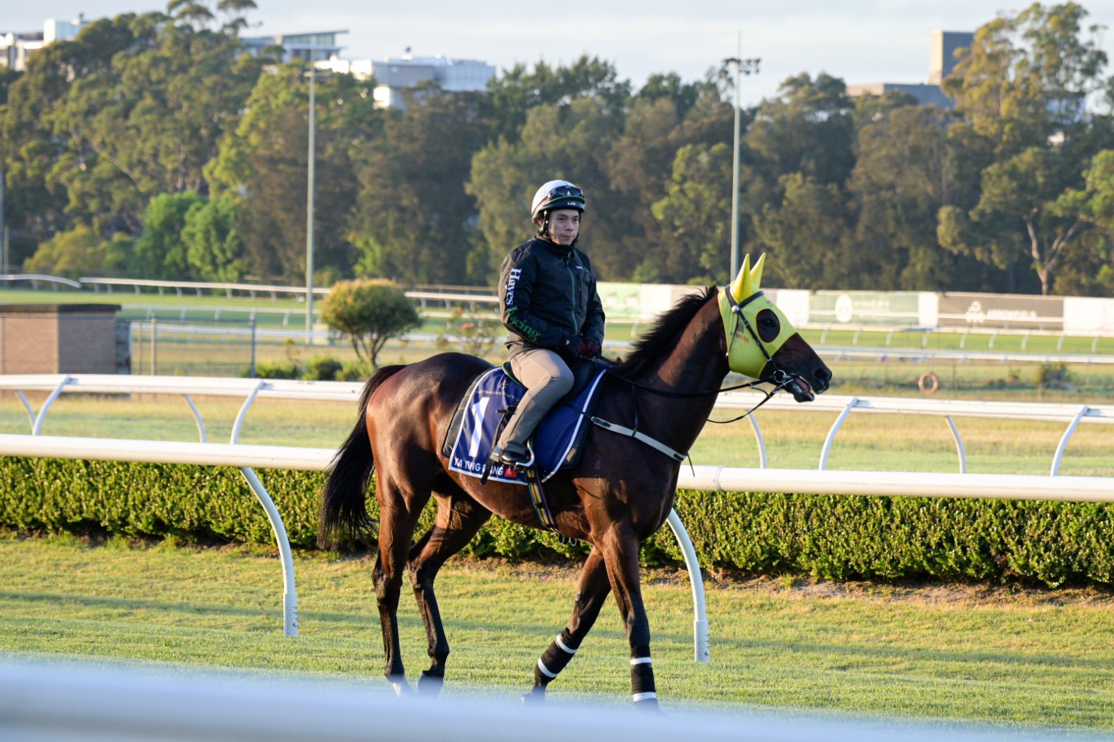 Briasa and Ka Ying Rising ready at Royal Randwick ahead of The Everest 2025