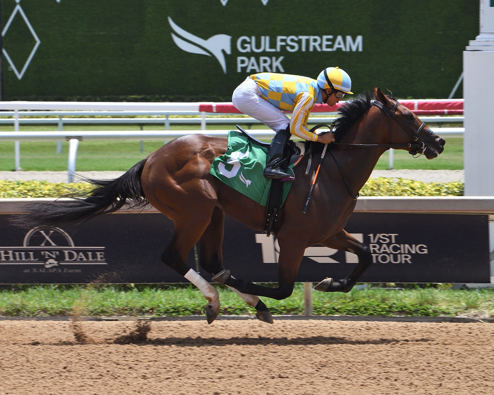 Strategic Risk in training at Gulfstream Park ahead of the Affirmed Stakes
