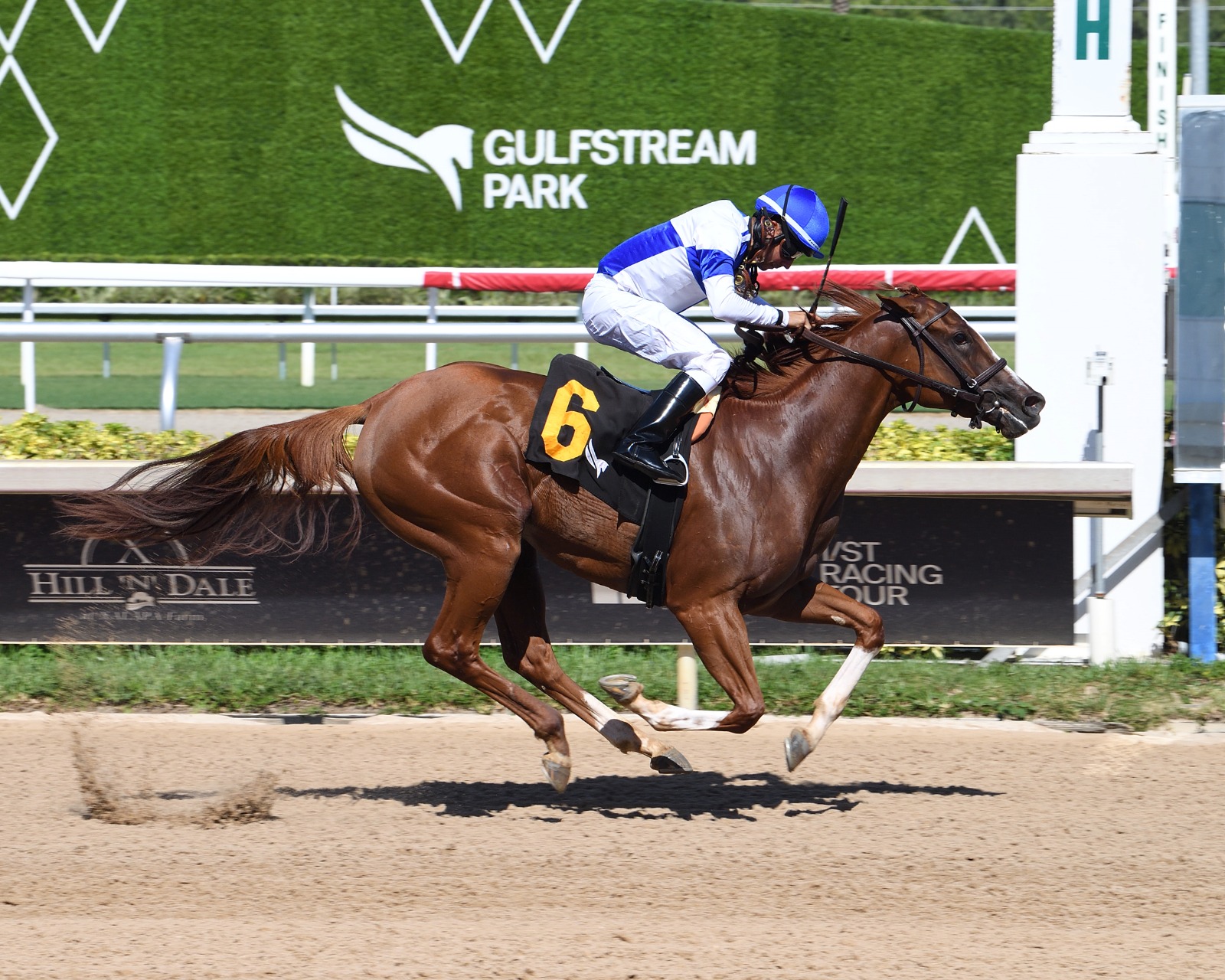 Finding Strength gallops at Gulfstream Park ahead of $200,000 Susan’s Girl Stakes