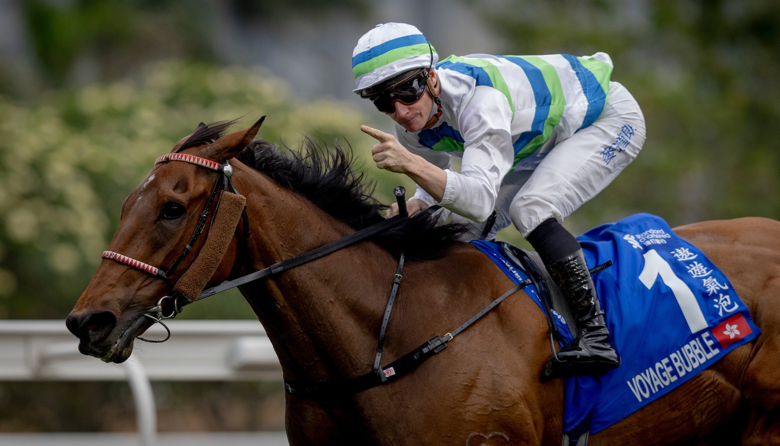 Voyage Bubble galloping at Sha Tin Racecourse ahead of Sha Tin Trophy Handicap