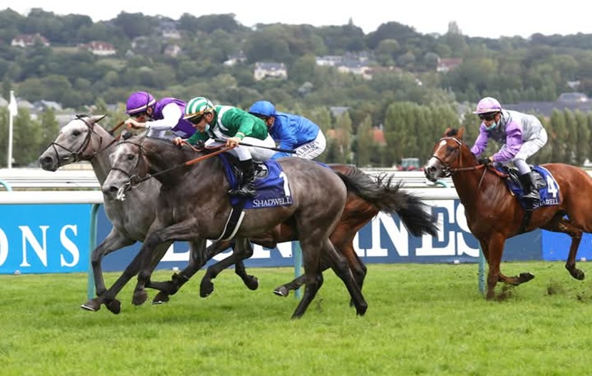 ParisLongchamp Race Preview 2025 – Prix du Conseil de Paris at Longchamp Racecourse