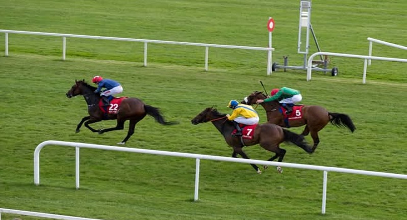 Gowran Park horse racing 2025 full racecard and preview