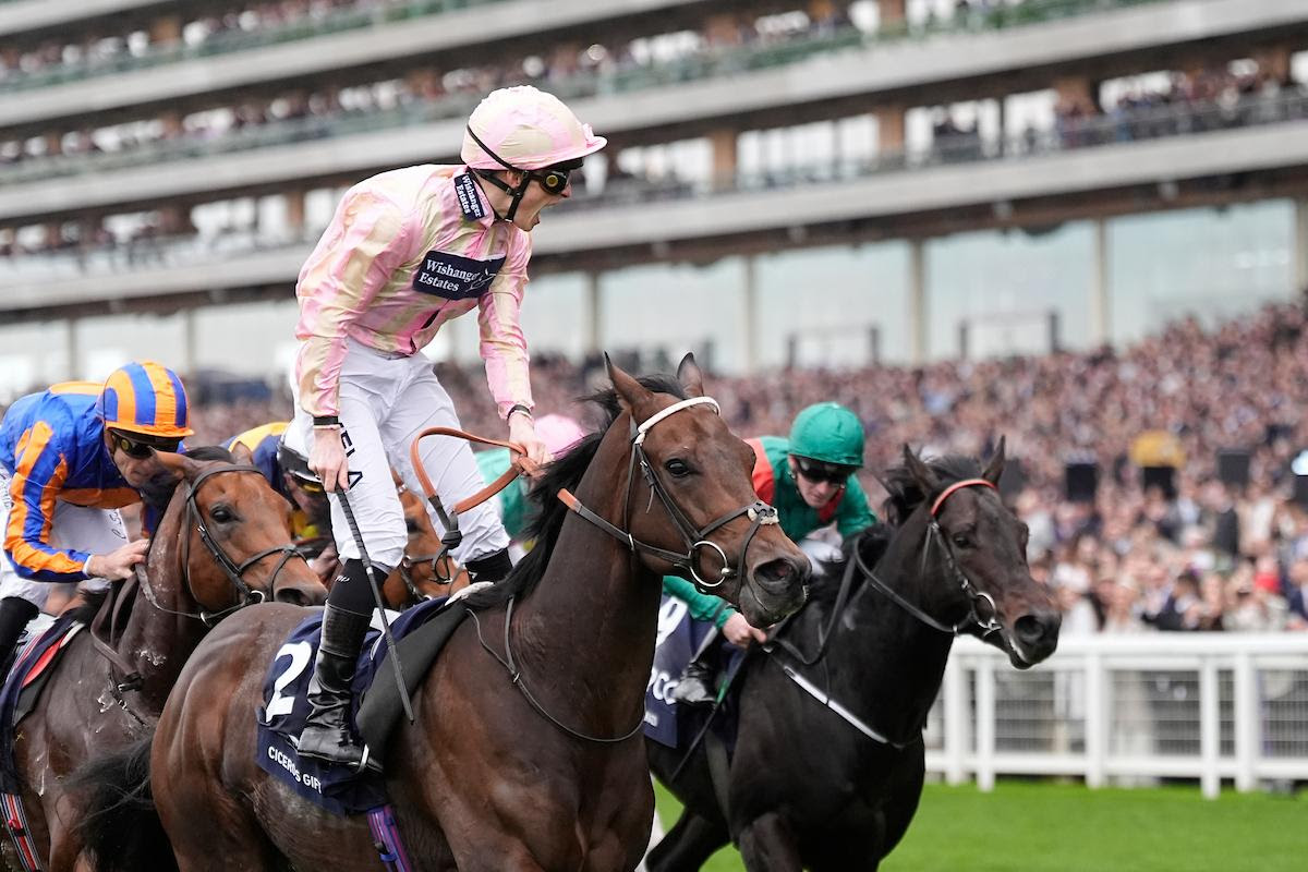 QIPCO British Champions Day 2025: Shocks & Sensations at Ascot