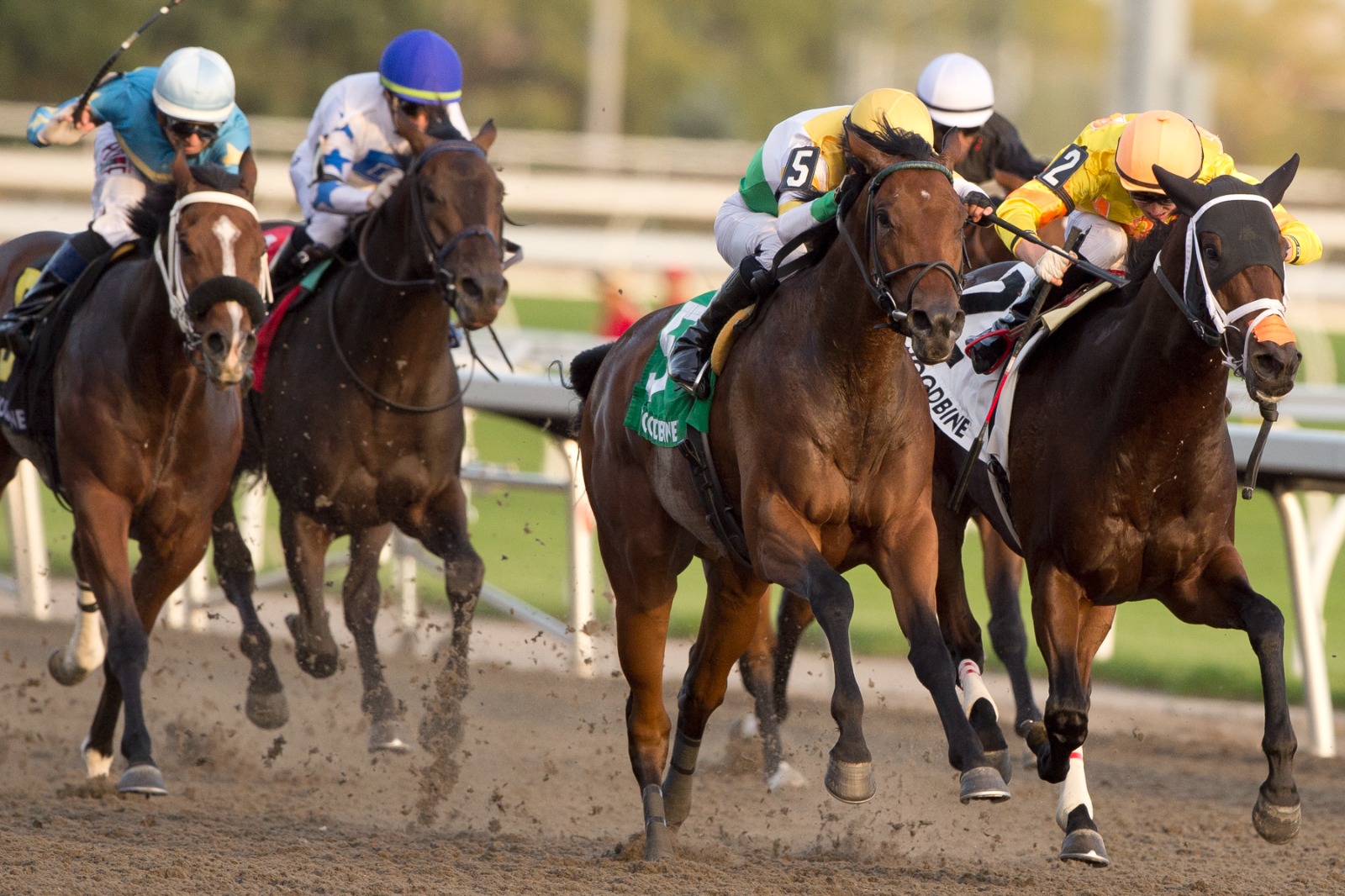 Borealis Trail winning the Grade 3 Ontario Derby at Woodbine under Jose Campos