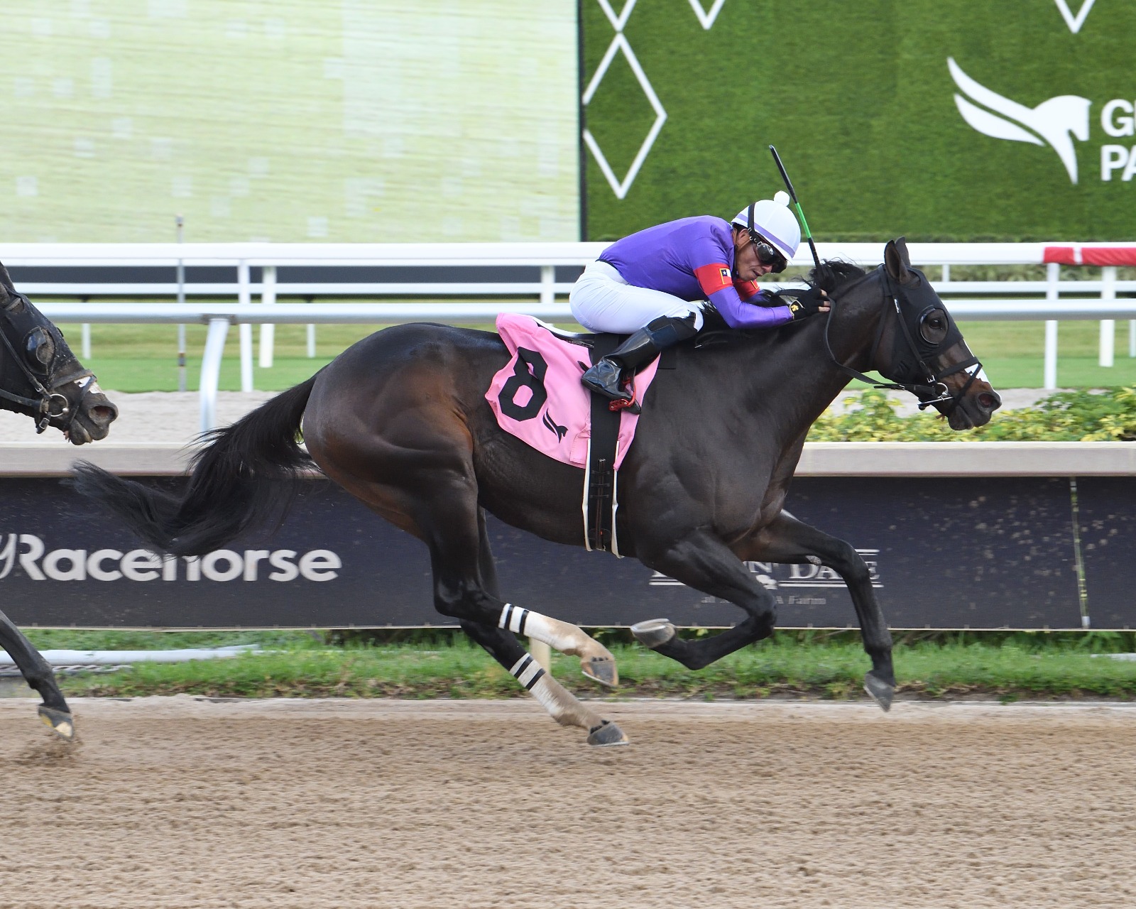 Con Compania crosses the finish line to win the Mr. Jordan Handicap at Gulfstream Park