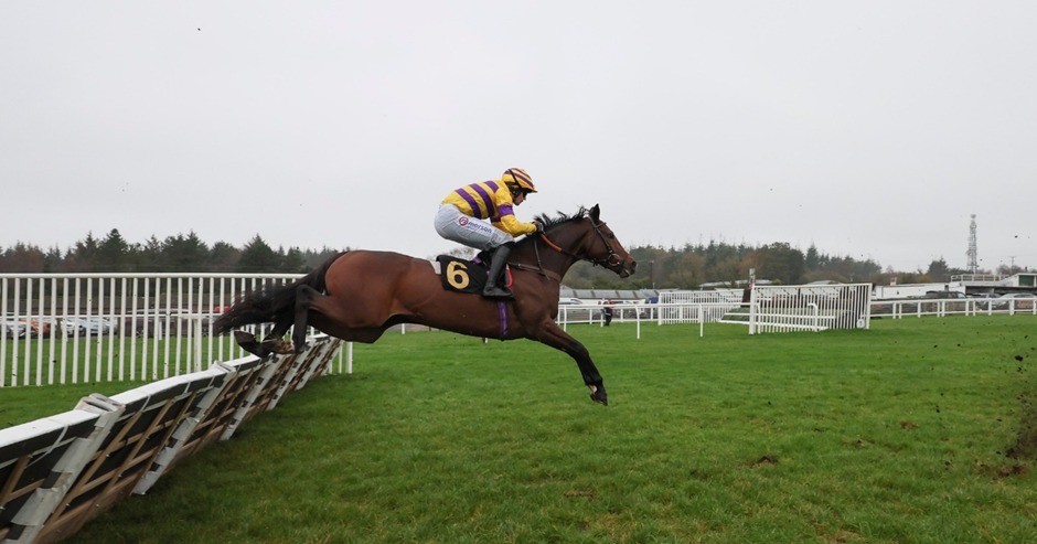 Horses jumping a hurdle at Exeter Racecourse during the PricedUp Best Mate Chase Day 2025