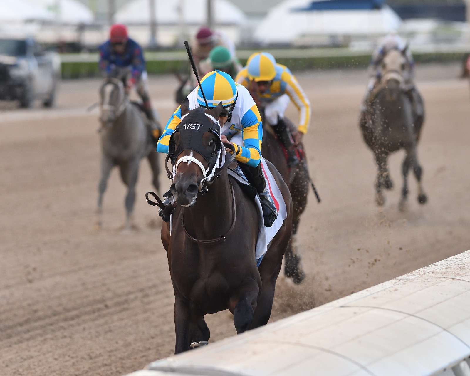 Khozalite winning the $200,000 Affirmed Stakes at Gulfstream Park
