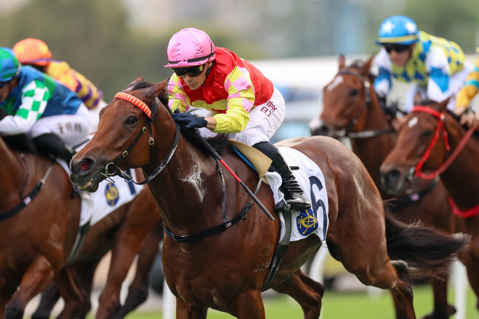 My Wish crosses the finish line to win the Sha Tin Trophy at Sha Tin Racecourse