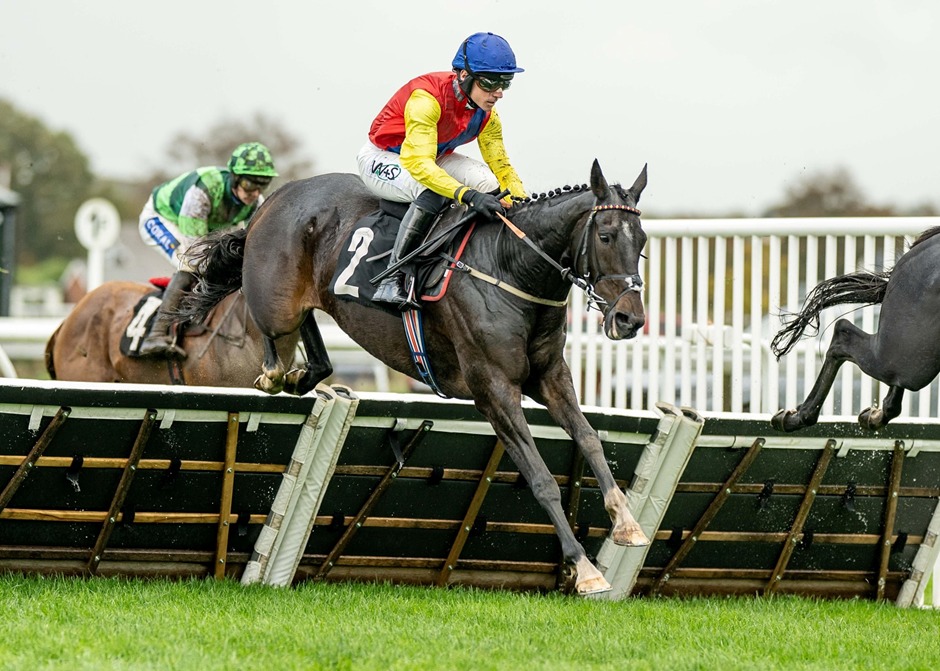 Diamond Hunter wins at Plumpton Racecourse on October 20, 2025 during the 2025/26 jumps season