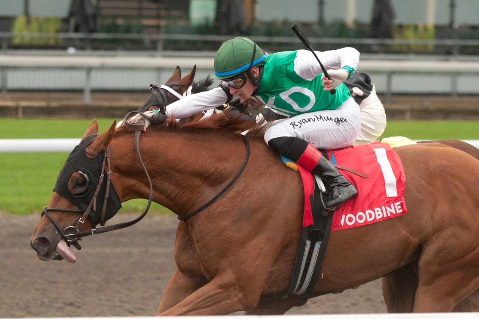 Zabarta winning the South Ocean Stakes at Woodbine under jockey Desean Bynoe