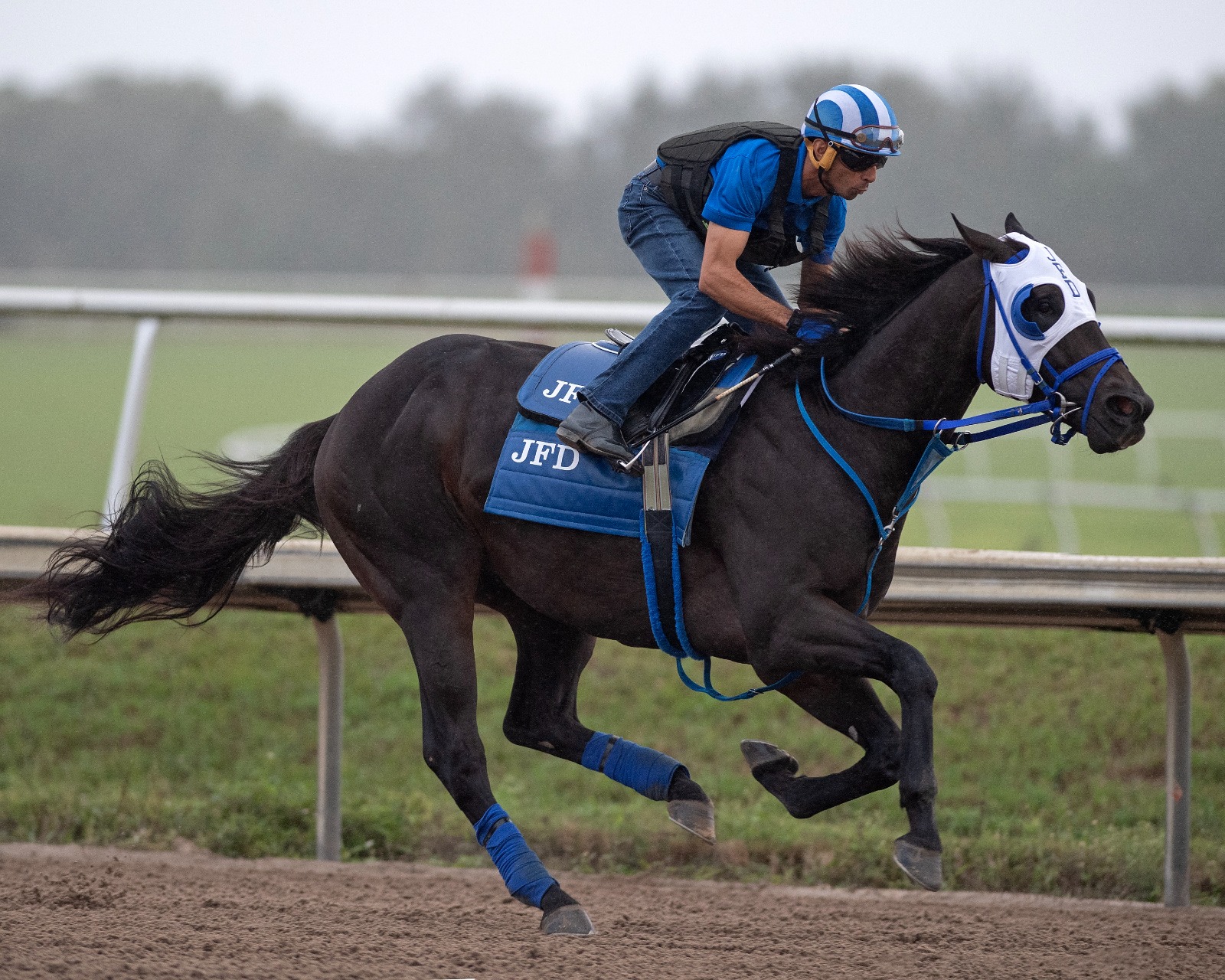 Bentornato training at Keeneland ahead of Breeders’ Cup Sprint