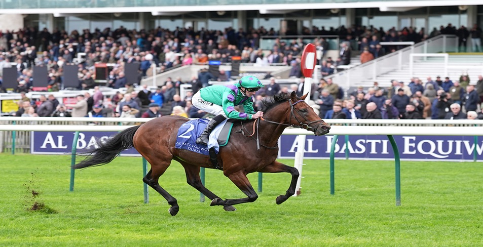 Newmarket Racecourse Two-Year-Old Day flat racing action with young thoroughbreds