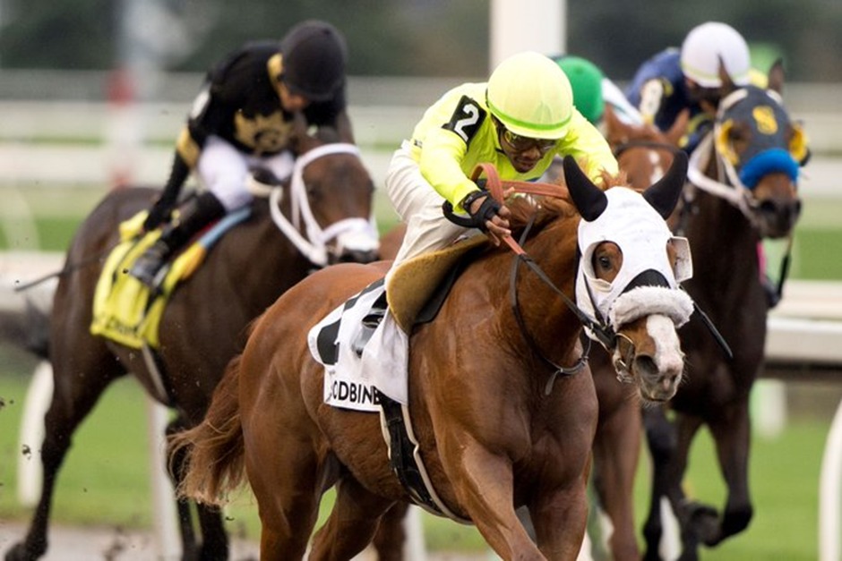 Horses racing on the turf at Woodbine Racetrack under autumn skies