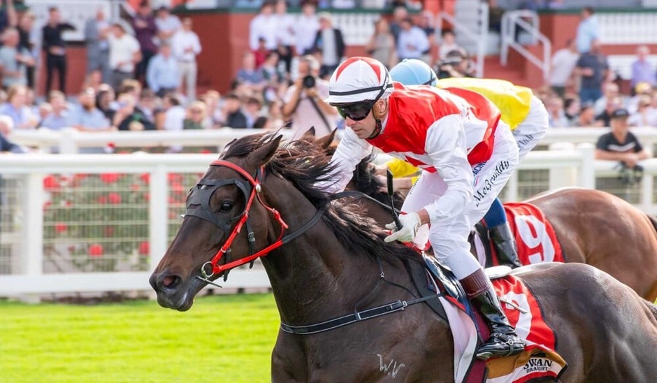 Belmont Park Racecourse action on 22nd October 2025 Winter Racing Season meeting