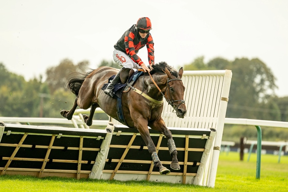 Fontwell Park Racecourse during autumn jump racing
