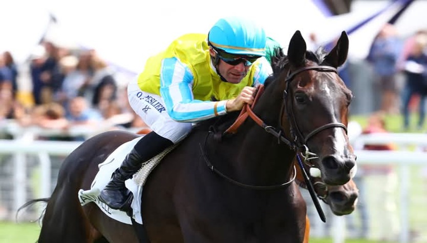 Auteuil Racecourse Paris jumps racing preview 23 October 2025 with horses and jockeys competing over fences