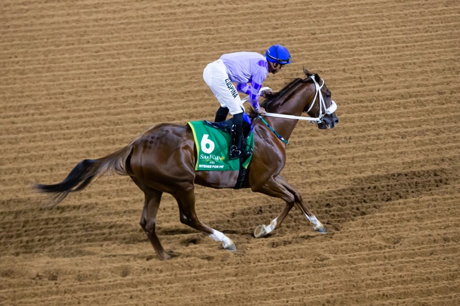 King Abdulaziz Racecourse Riyadh 12-race card October 2025