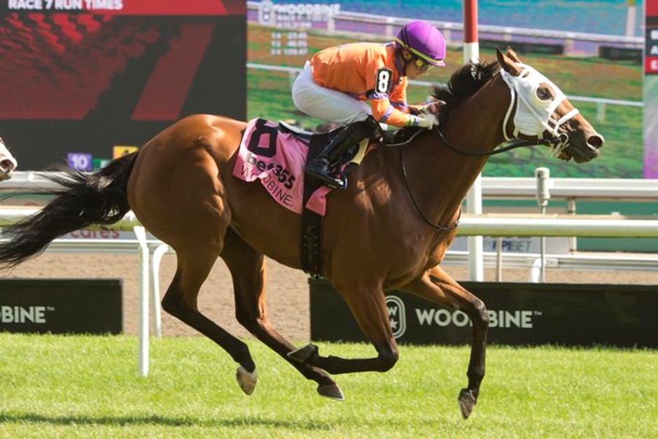 Woodbine Thoroughbred Racecard October 25 2025 featuring 11 exciting turf and all-weather races