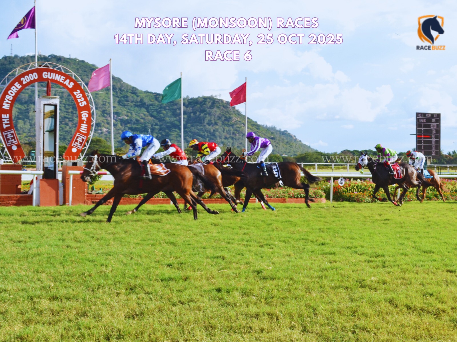 Shamrock Wins Mysore Race Club Anniversary Cup 2025 at Mysore Racecourse