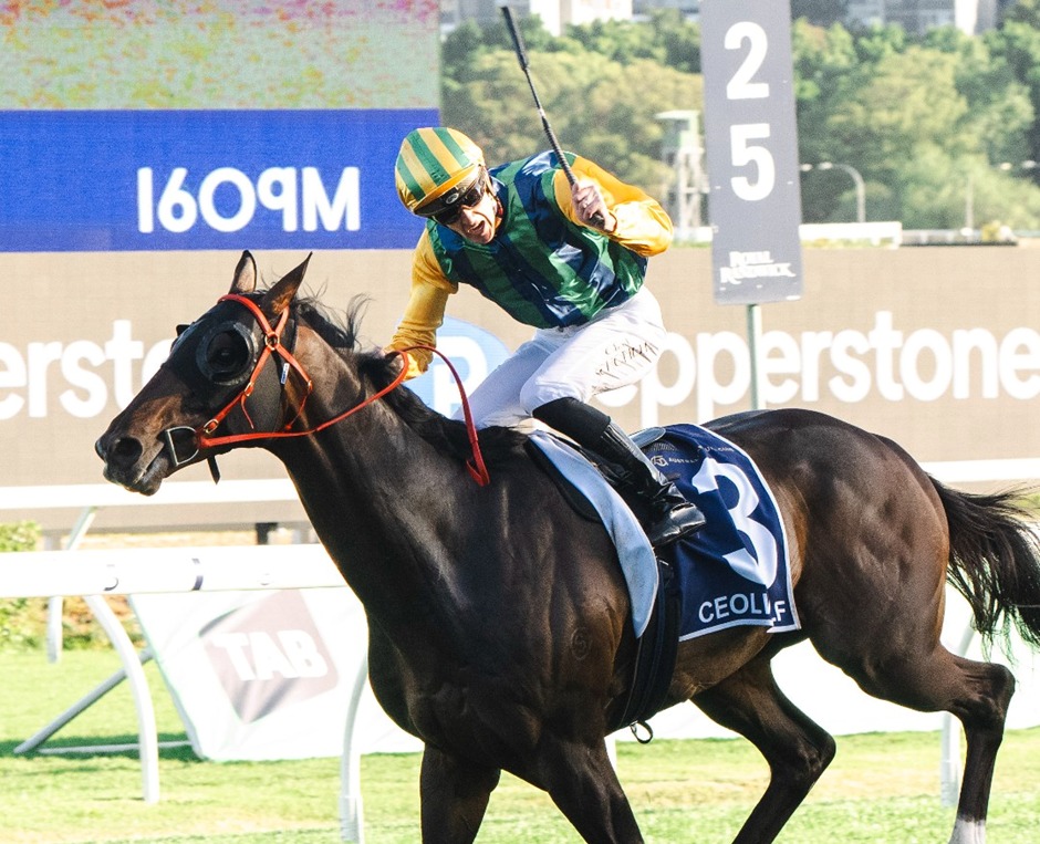 Royal Randwick Racecourse Spring Champion Stakes Day 2025 winners and racing action