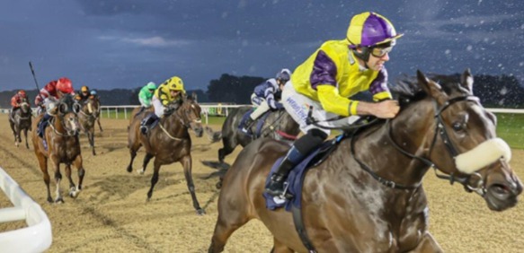 Horses racing under the floodlights at Newcastle Racecourse during the October 2025 meeting