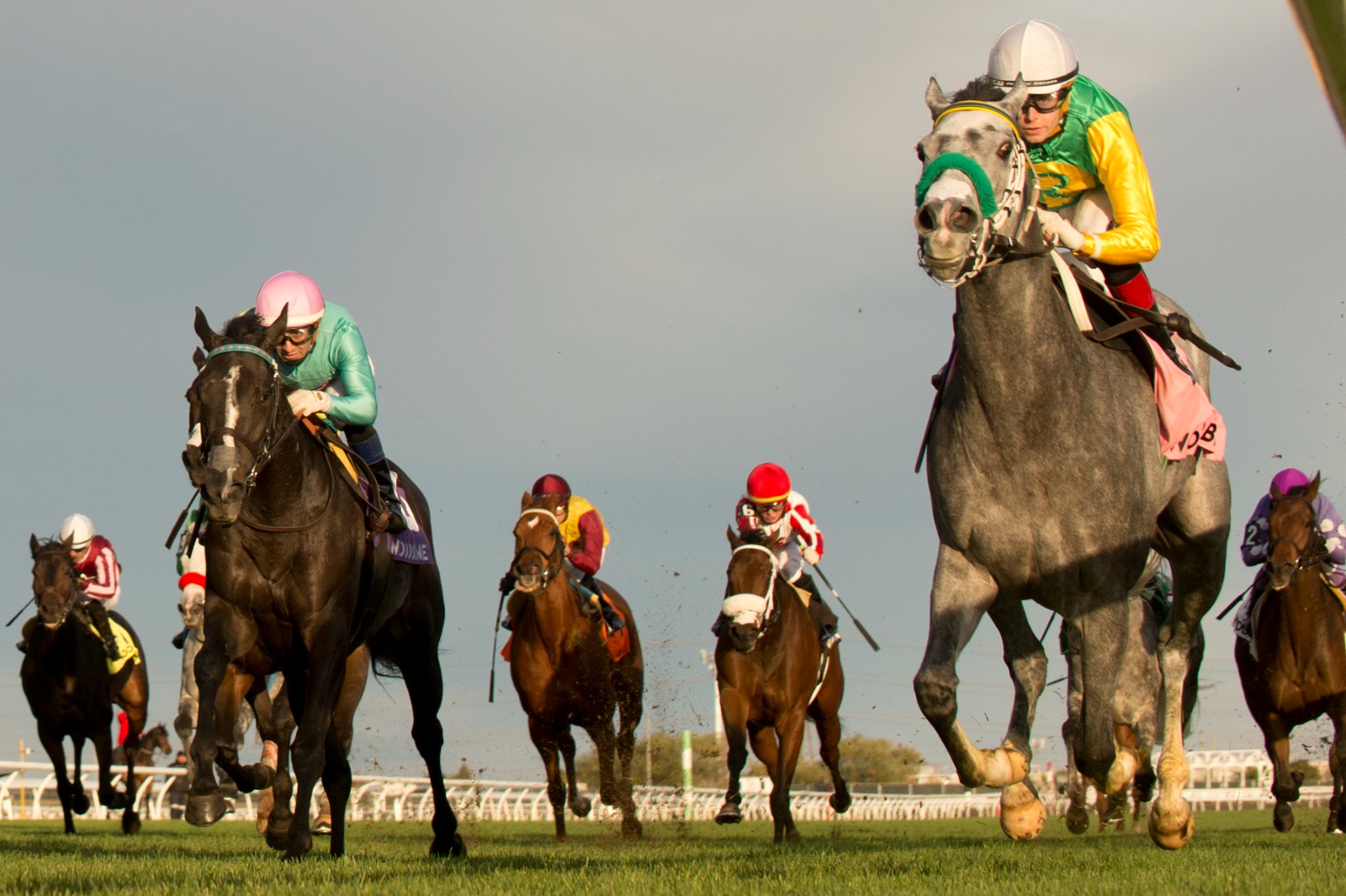 Little Teddy wins the Eternal Search Stakes at Woodbine under jockey Austin Adams