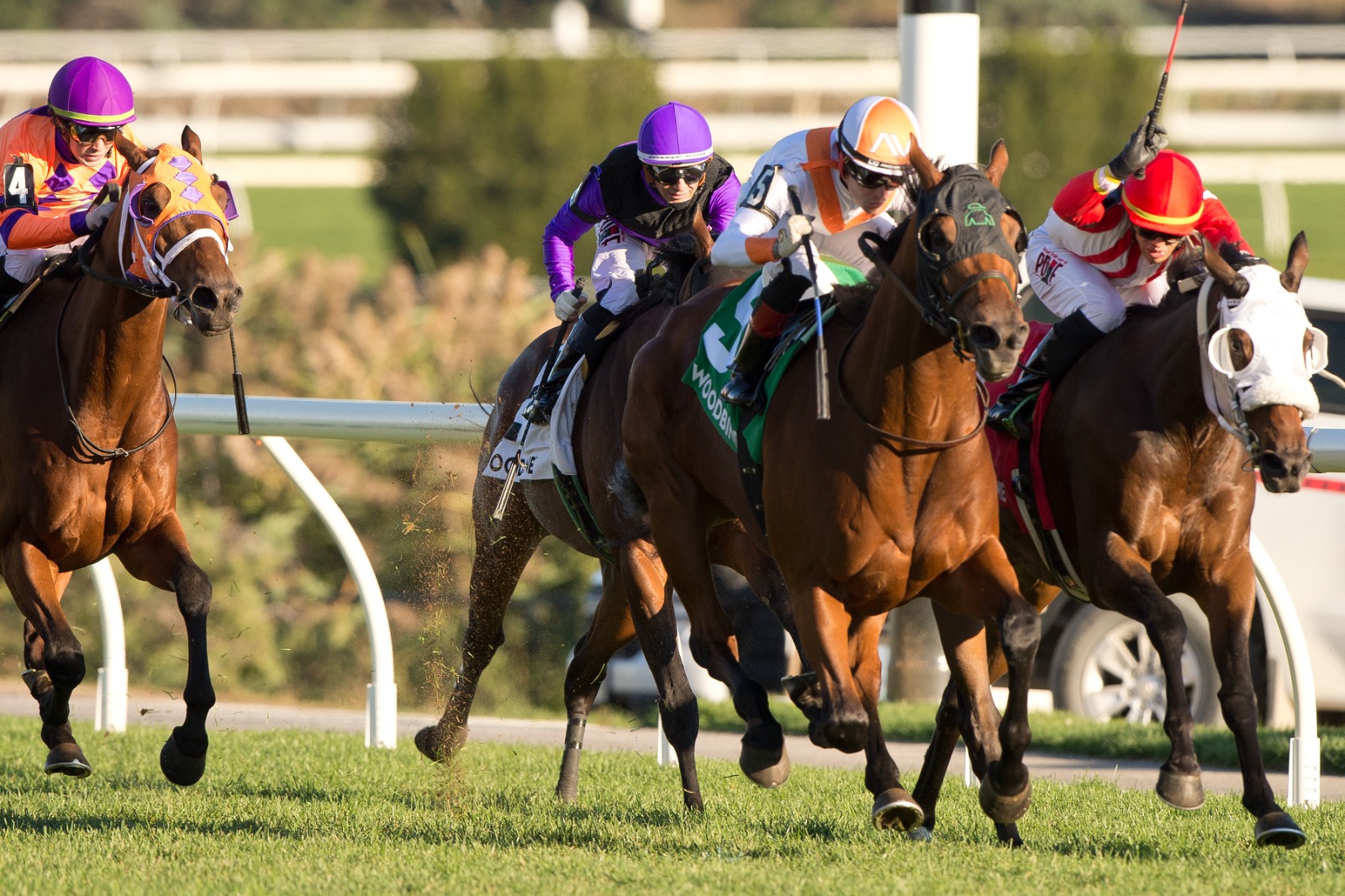 Rapid Test winning the Overskate Stakes at Woodbine under jockey Austin Adams