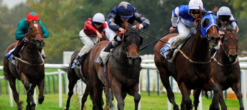 Horses racing at Leicester Racecourse during the October 28, 2025 meeting