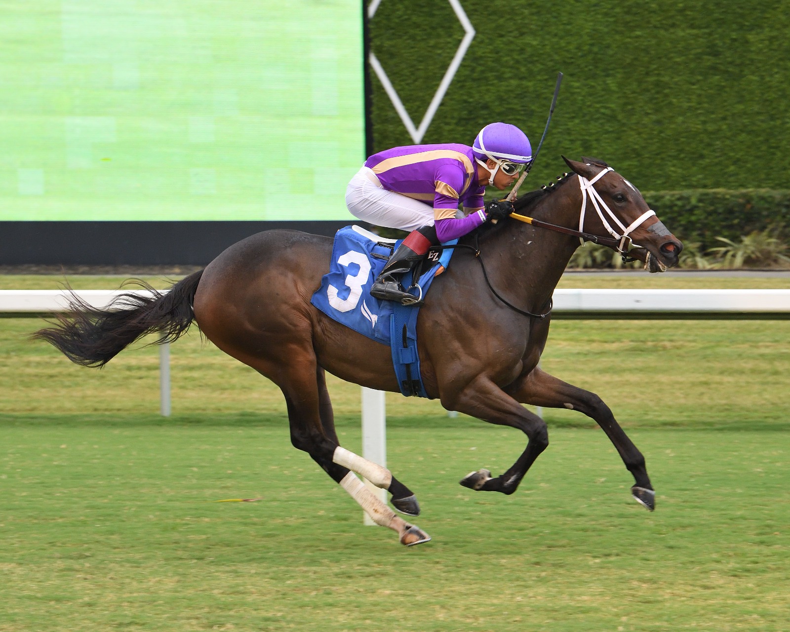 Spirit Doll winning the Our Dear Peggy Stakes at Gulfstream Park under Edgard Zayas