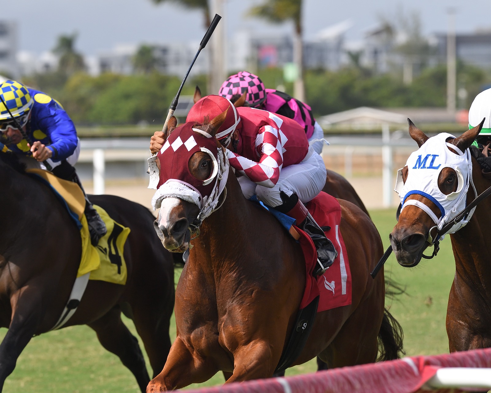 Makeit to Cheyenne wins thrilling turf sprint at Gulfstream Park