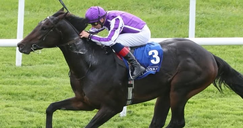 Dundalk Stadium floodlit racing on 29 October 2025 during autumn meeting