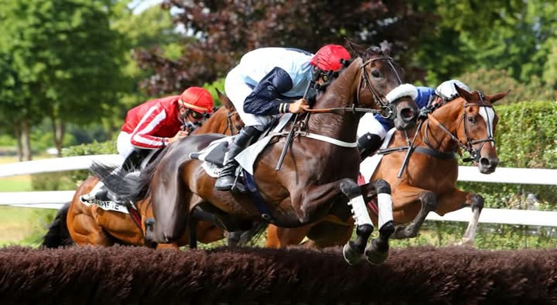 Auteuil Racecourse steeplechase action during October 2025 race day in Paris