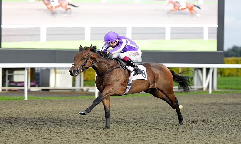 Kempton Park floodlit races 29 October 2025 — nine-race flat meeting featuring top trainers and jockeys on the all-weather track.