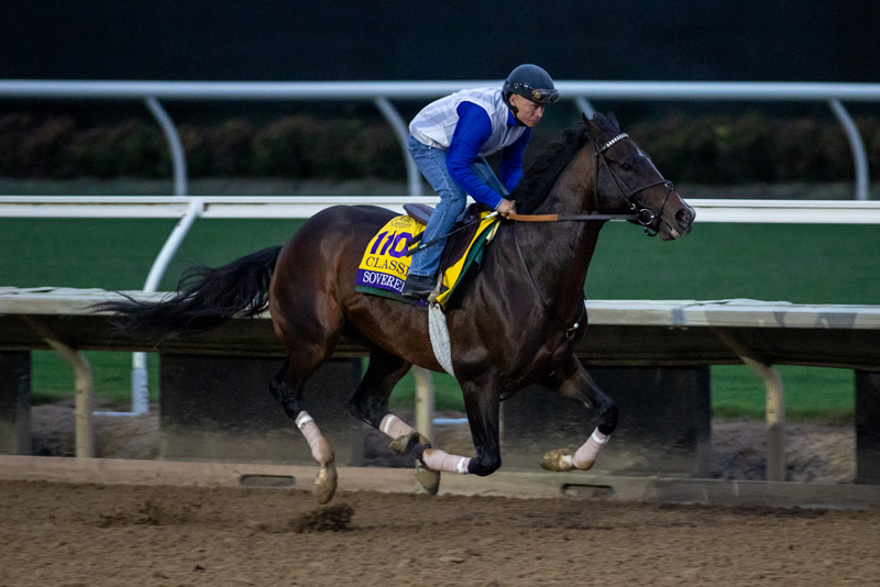 Sovereignty training at Del Mar ahead of the 2025 Breeders’ Cup Classic