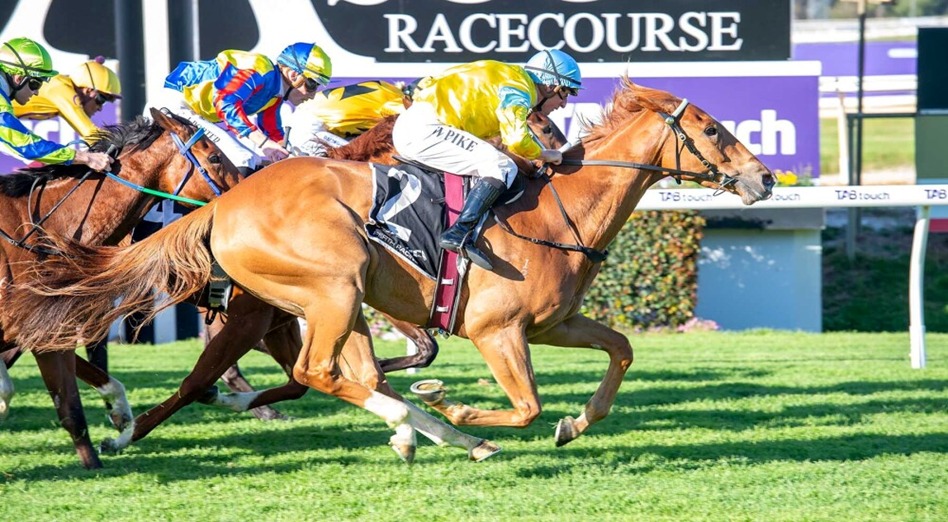 William Pike guides Intoxicating to victory in the opening race at Belmont Park Racecourse on October 29, 2025.