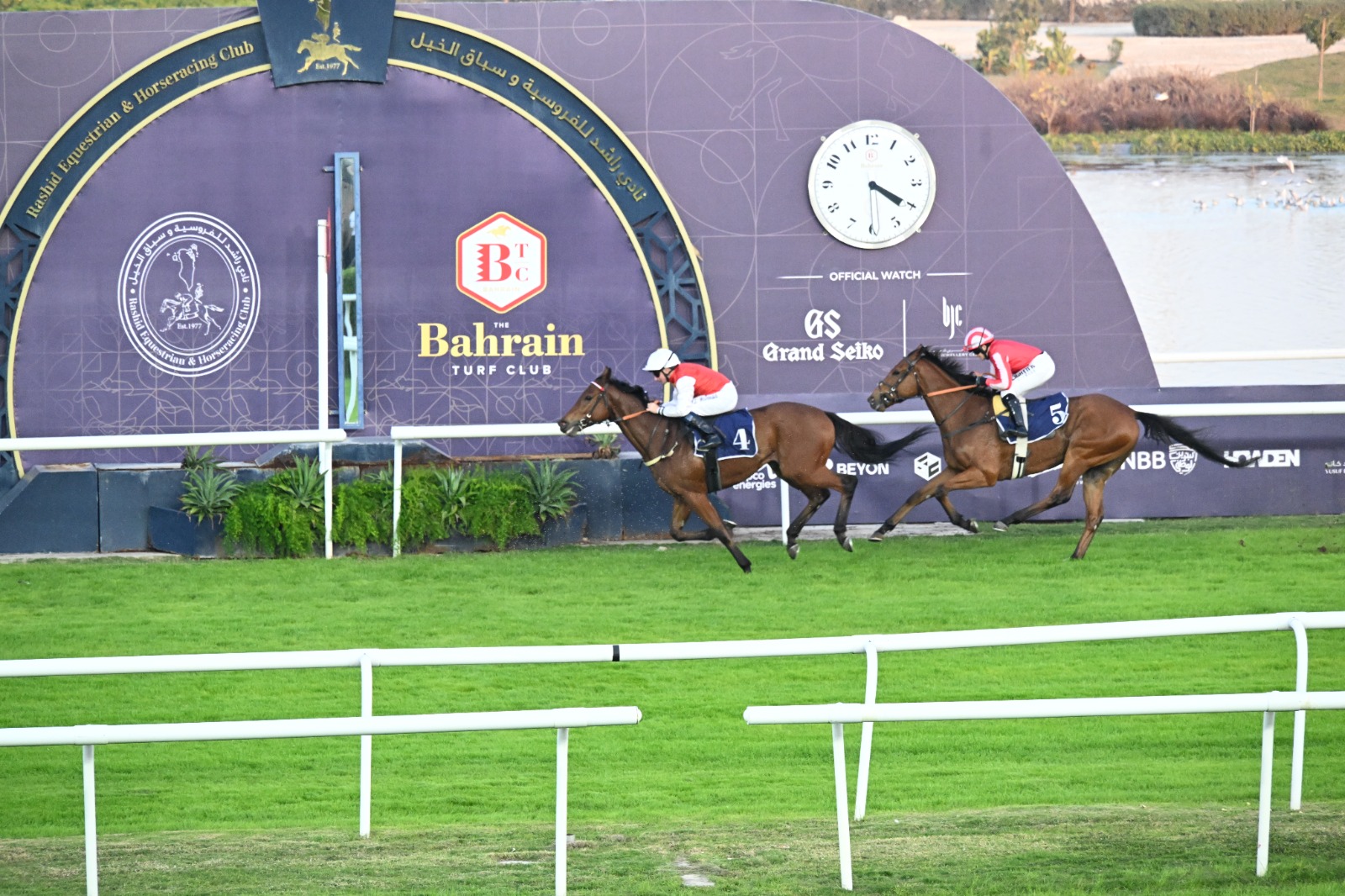 Horses racing at Bahrain Turf Club during the Rashid Bin Isa Cup 2025.