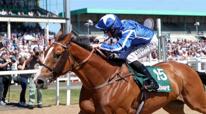Horses competing during the Newcastle National Hunt meeting at Gosforth Park on 30 October 2025