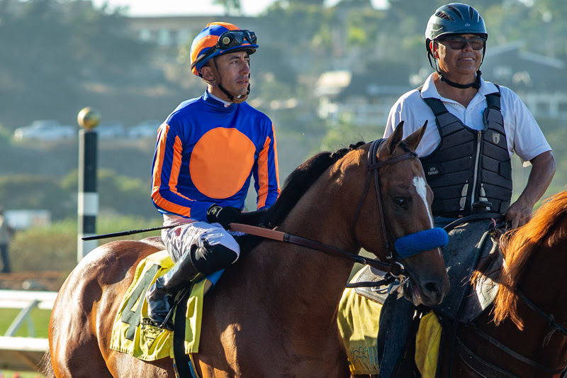Plutarch galloping on the turf ahead of the Thoroughbred Aftercare Alliance Stakes at Del Mar.