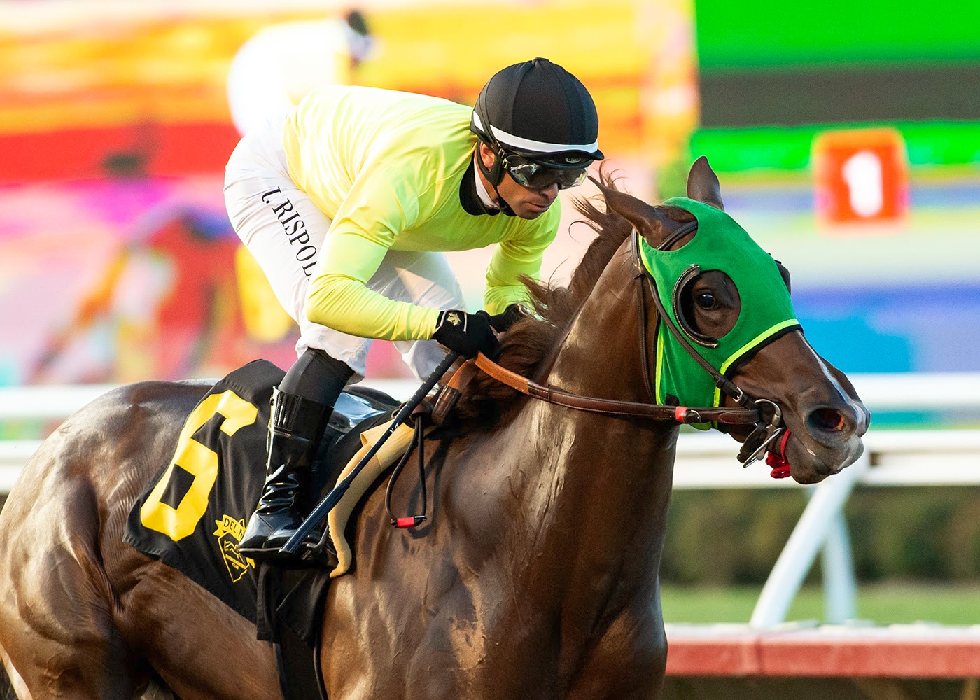 Ocean Bear during training ahead of the Golden State Juvenile at Del Mar