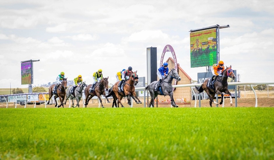 Horses racing down the straight at Northam Racecourse during the October 30, 2025 meeting