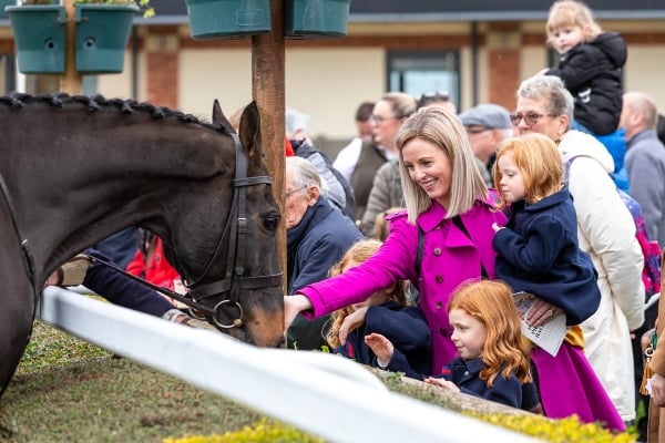 Resplendent Grey preparing for his comeback in the Colin Parker Memorial Intermediate Chase at Carlisle