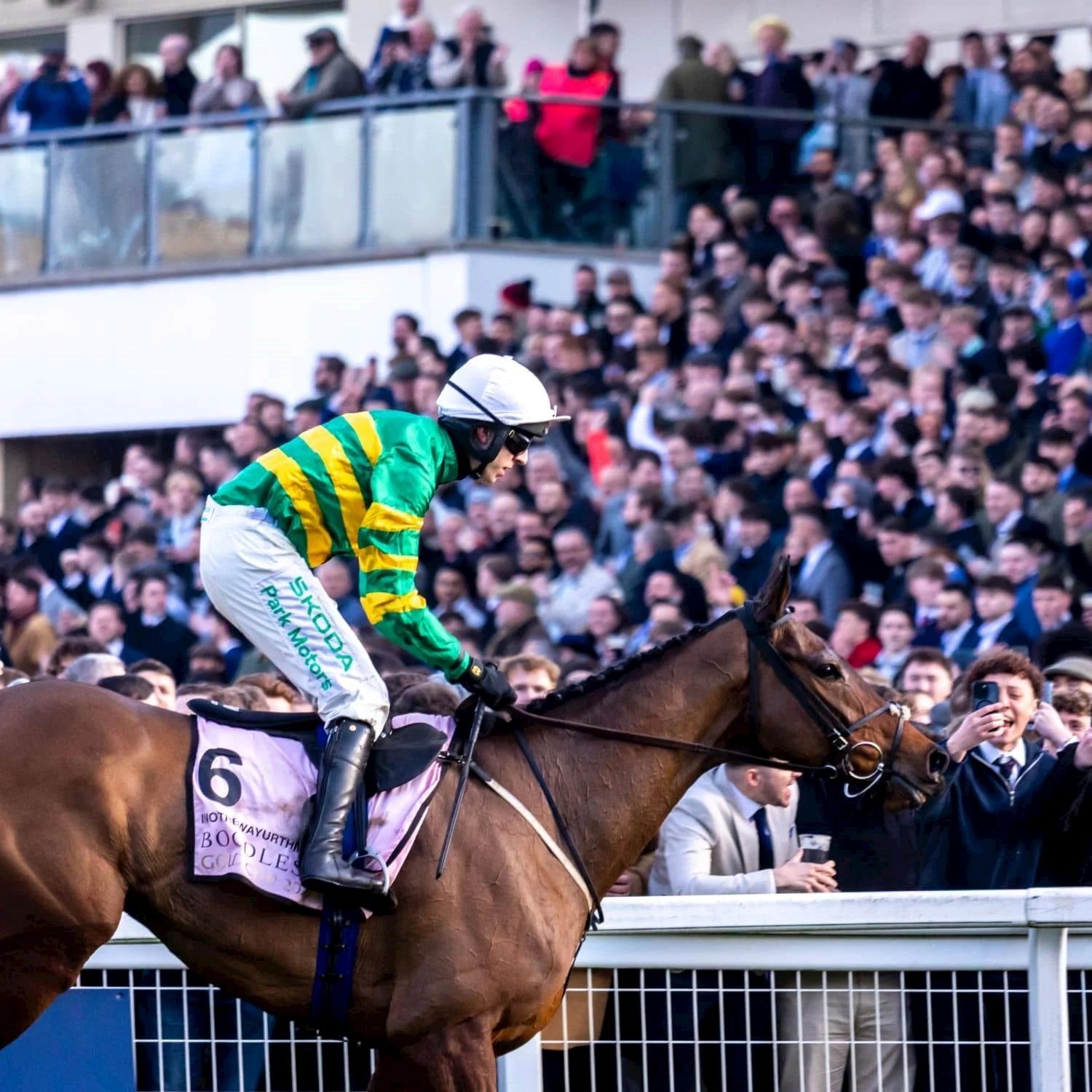 Jagwar powering to victory at Cheltenham in the Paddy Power Gold Cup Jagwar powering to victory at Cheltenham in the Paddy Power Gold Cup