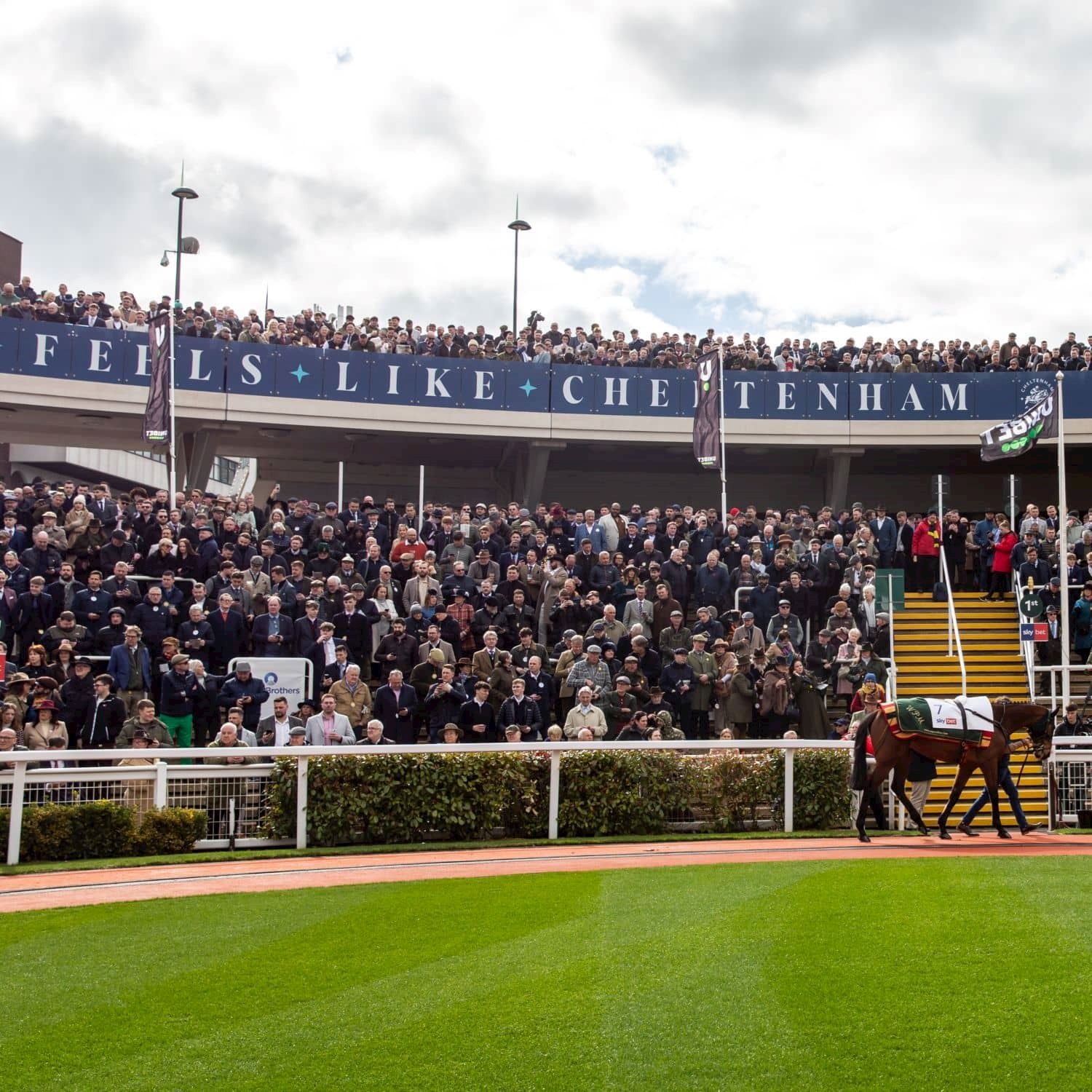 Give It To Me Oj at Cheltenham’s November Meeting