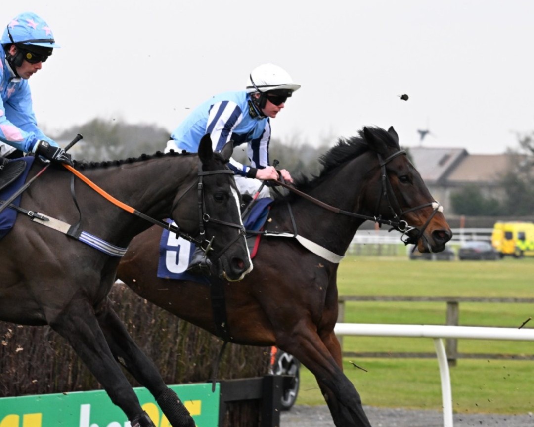 Potters Charm preparing for the G2 Wetherby Hurdle 2025