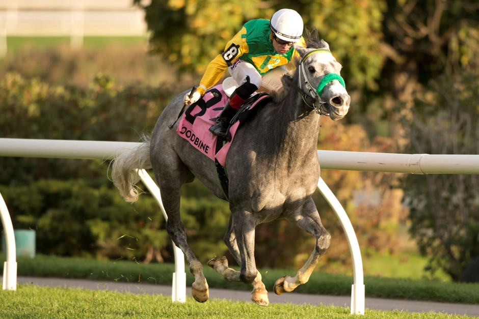 Horses sprinting on the Woodbine All-Weather Track during the October 31 Thoroughbred race day