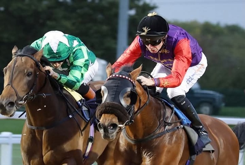 Southwell Racecourse evening flat fixture 2025 under floodlights with nine races