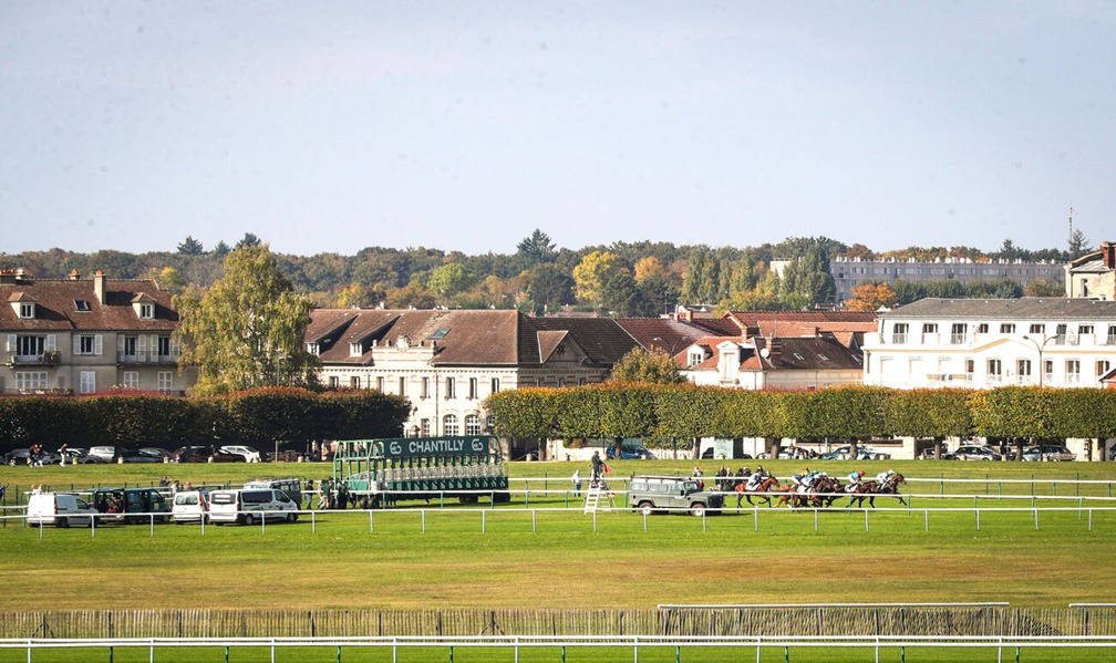 Horses racing at Hippodrome de Chantilly during the October 31, 2025 meeting
