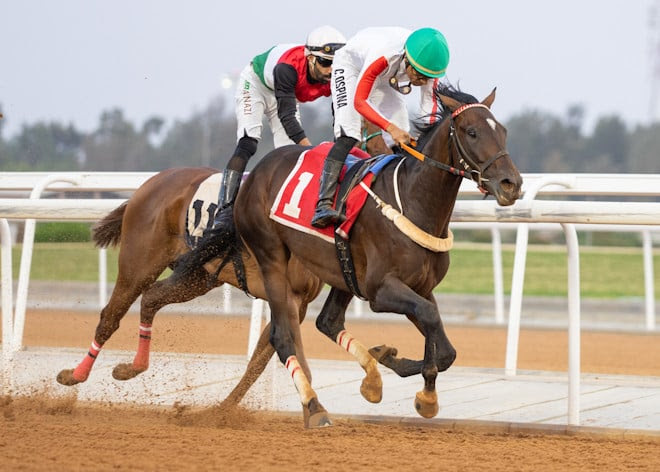 Aatakum wins in Taif ahead of Riyadh’s HRH Prince Saud Bin Salman Bin Abdulaziz Cup.