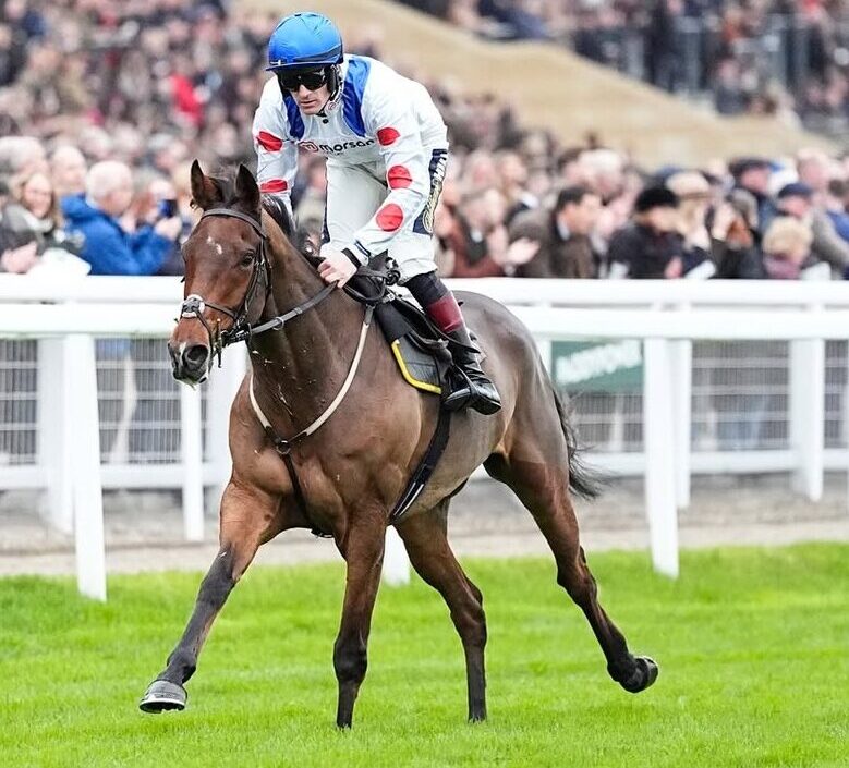 Panic Attack leading home in style at Cheltenham during her Gold Cup victory.